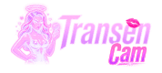 Transencam.net